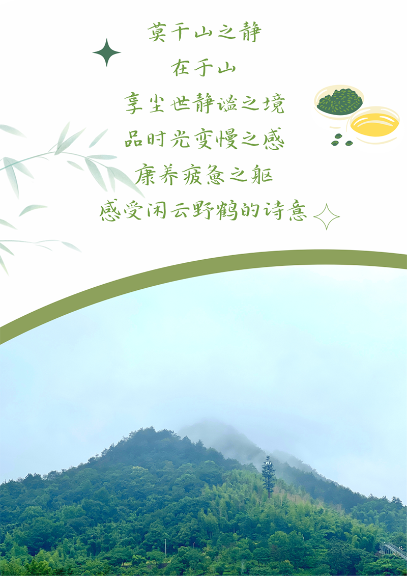 心心念廿 相伴天九娱乐 | 与德清相约 贺廿载诞辰