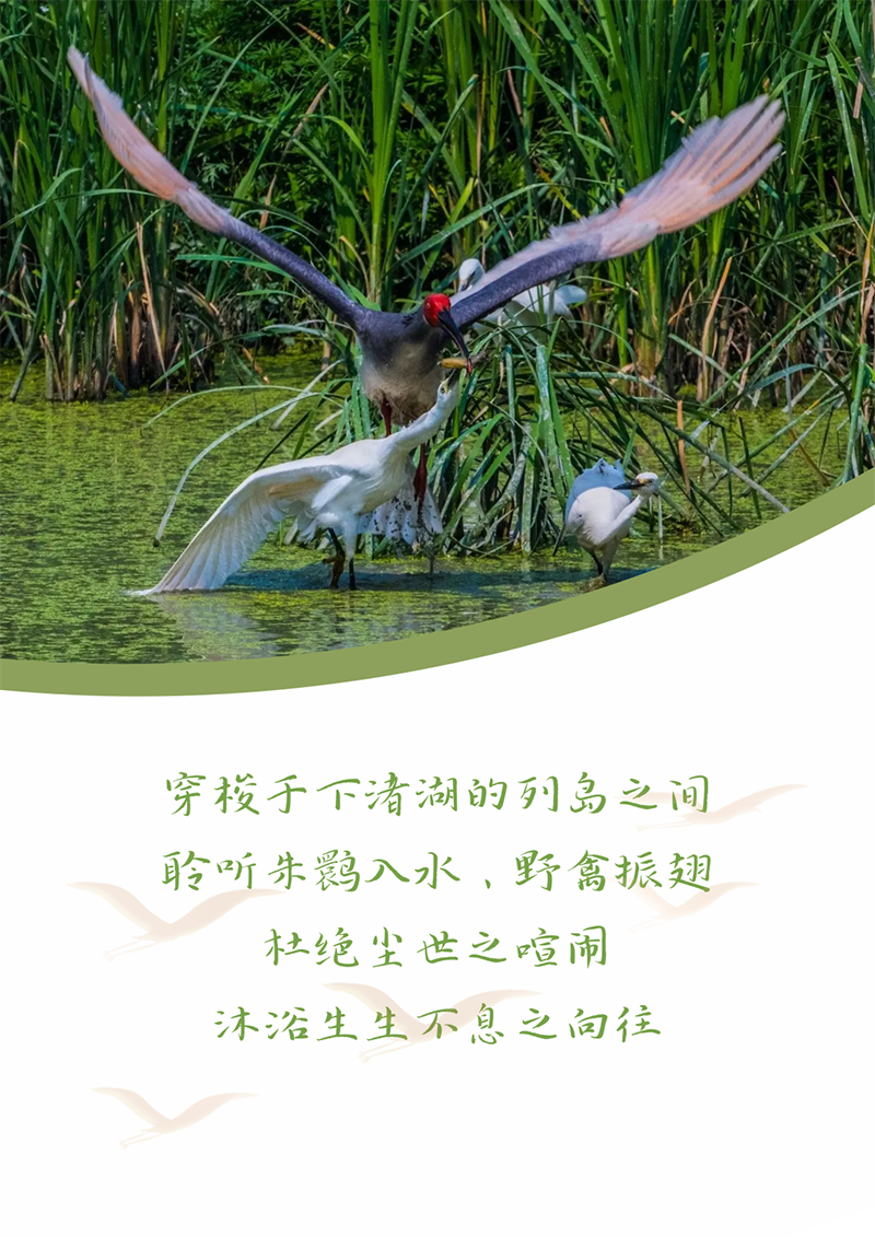 心心念廿 相伴天九娱乐 | 与德清相约 贺廿载诞辰